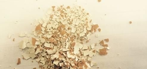 花盆里撒上这两样东西,不生虫不黄叶不烂根,还能疯长爆盆