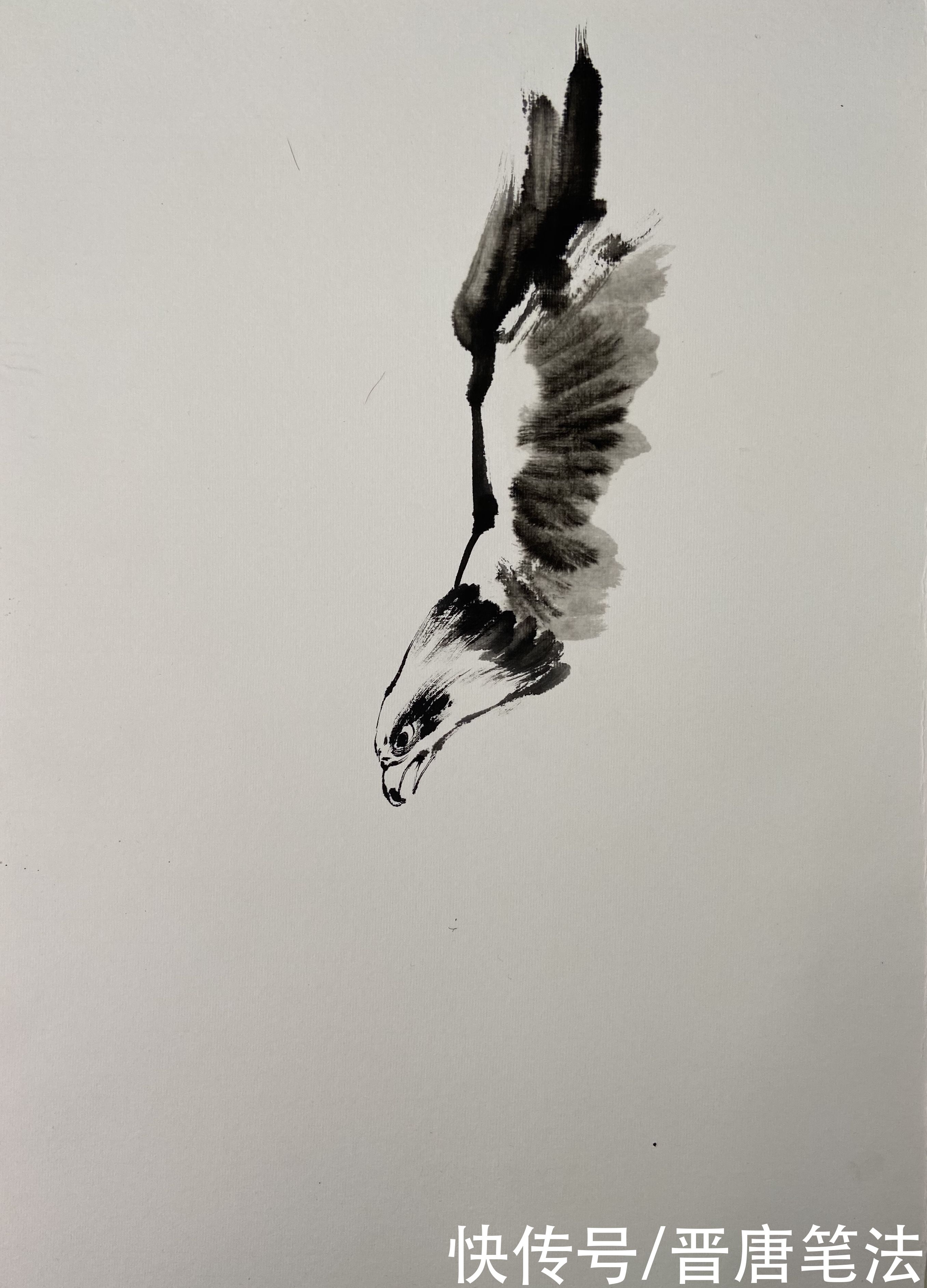 写意|小写意《鹰击长空》的画法和详细步骤图，喜欢国画的朋友收藏了