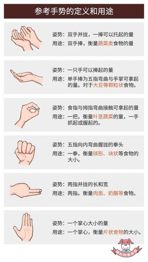 手势|4张图教你一眼看准食物热量!再也不用担心长肥膘!