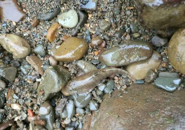 打工仔回到家乡,再钓一次故乡河里的小鱼