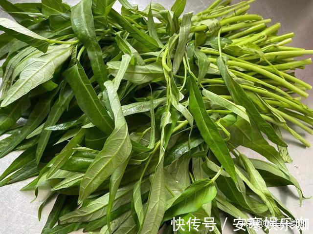 小白|空心菜最简单的做法，厨房小白也能做出的美味，减脂者的福音