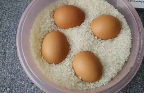 好神奇!把鸡蛋放进大米中,一个星期后,怎么也想不到会这样……