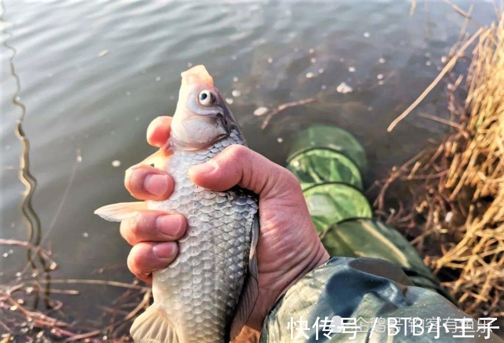 冬季野钓用这种钓法，抗流水，鱼口信号明显，渔获翻倍