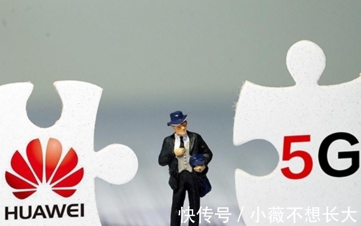 驻美大使馆|不惧美国力挺华为,阿联酋选对了