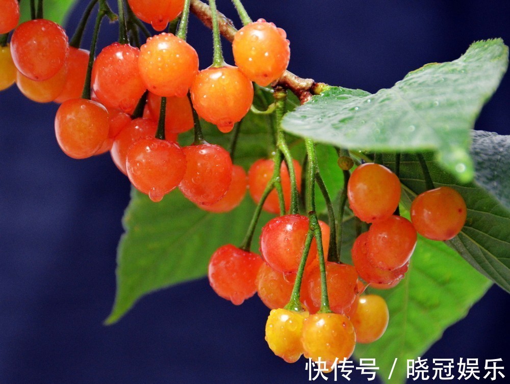 食物|会吃的人最长寿,常吃3种食物,排毒清肠,降压降脂,早吃早好