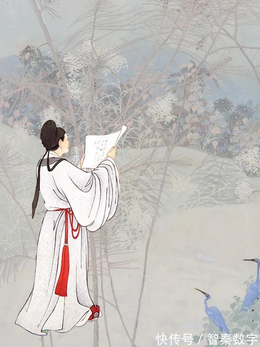 秋天的最后一次回眸|明日霜降| 霜降