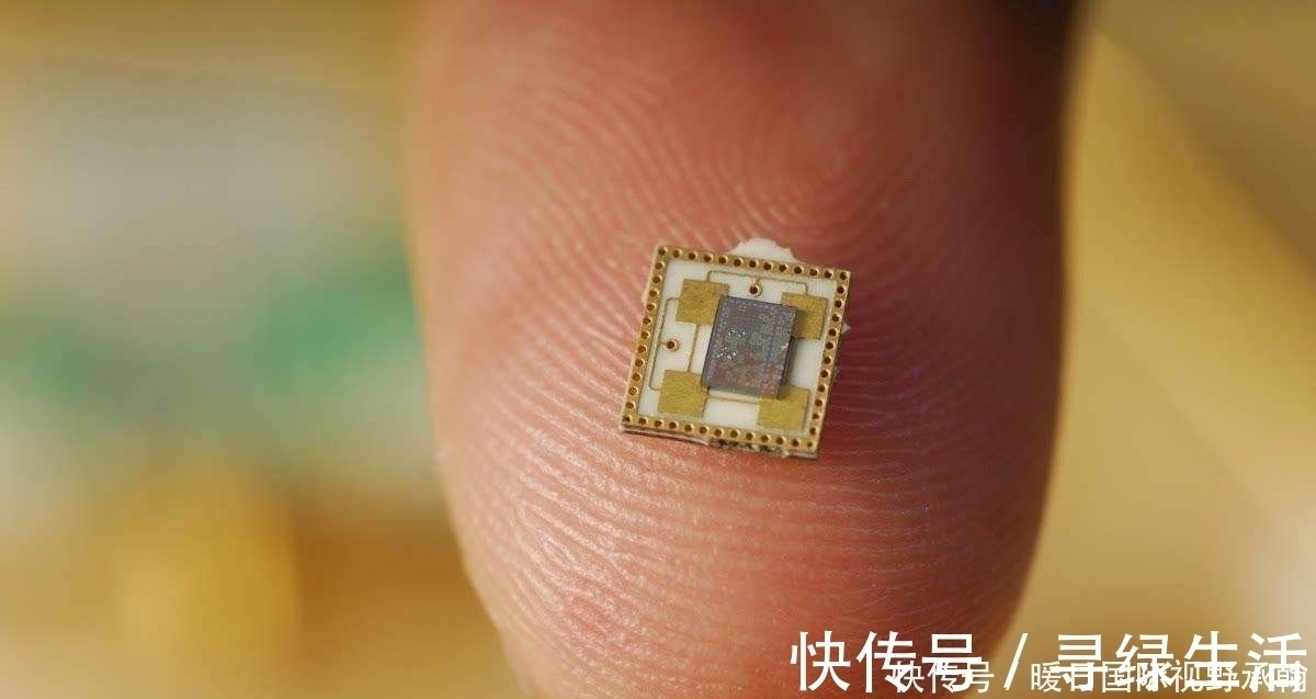 芯片|华为被打压只是开始中国院士透露,国内又一大领域依靠国外软件