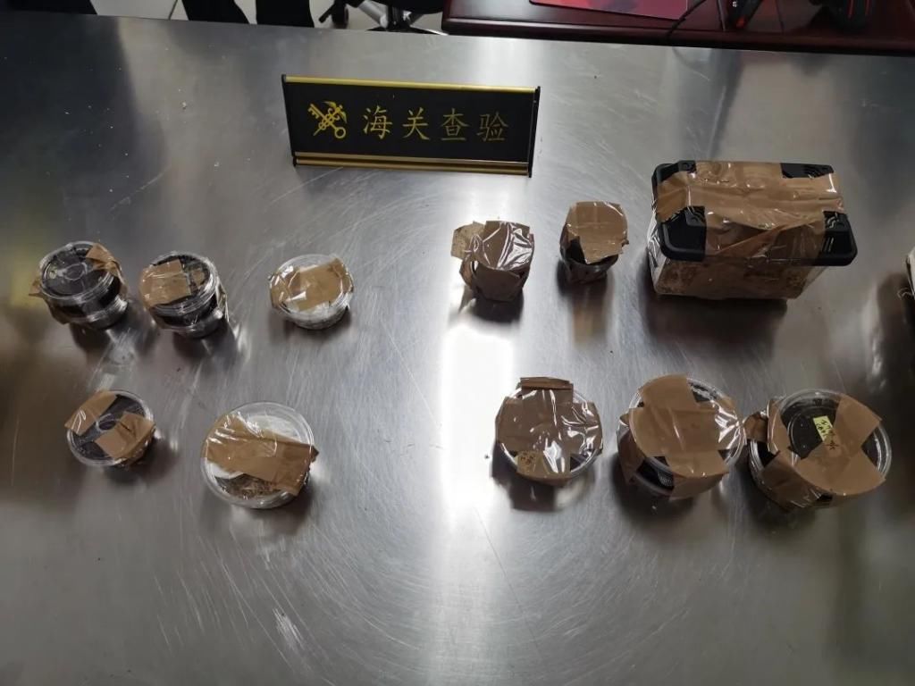 海关关员|就发生在昌北机场！一包裹里发现13只活甲虫…