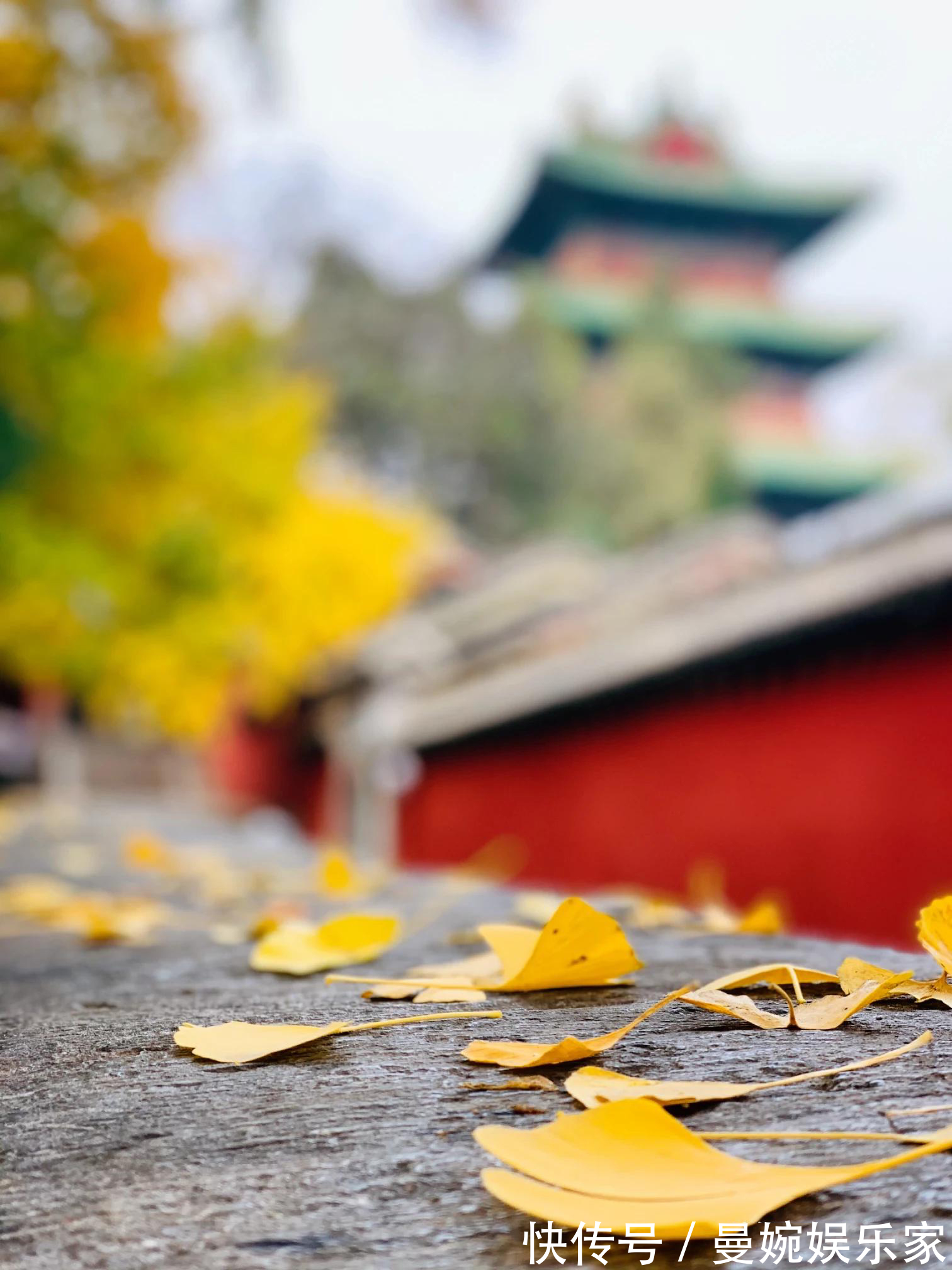 扫地僧|看到扫地僧扫除落叶，我笑他笨拙，老僧这句话让我开悟！