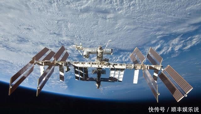 小鱿鱼 美国宇航局正准备向太空发射发光的小鱿鱼和5,000 个水熊