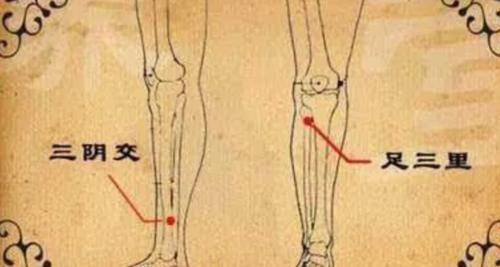 按摩|中医补肾的“穴位”都在这里了，每天按摩两分钟，强肾健体