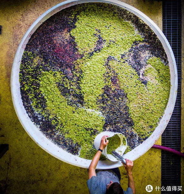  关于勃艮第，那些你不知道的冷知识