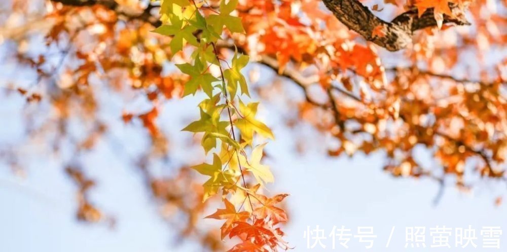 山行#古今10首写秋名作,首首经典,哪一首是你心中的第一