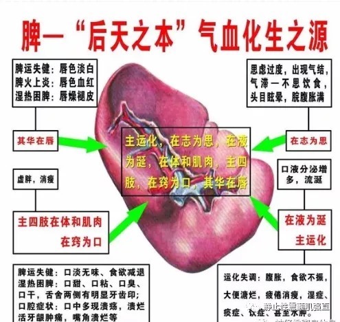 九窍|补脾，是一切疾病治疗的关键，生津润燥汤治疗干燥综合征就是如此