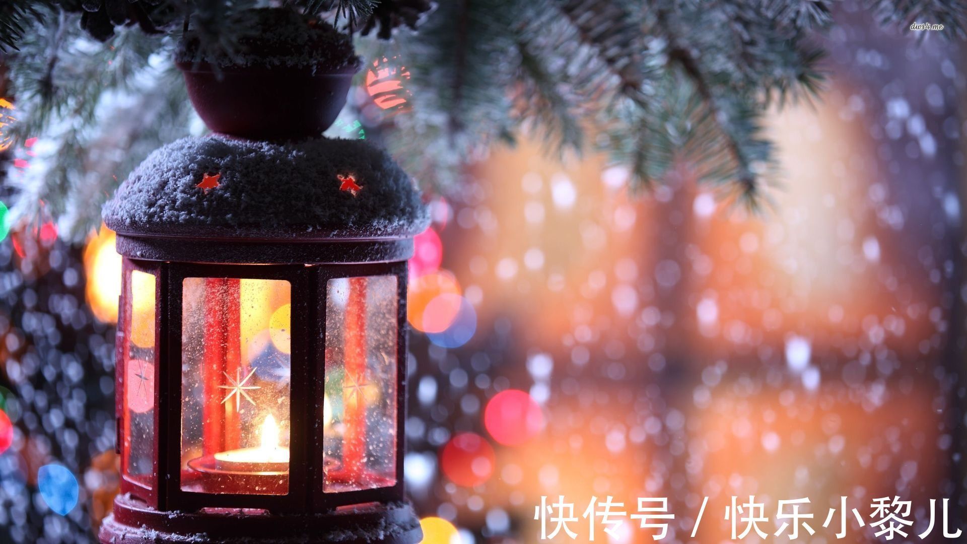 脾气古怪|脾气古怪,也不合群,这个星座很难懂,为什么不缺追求者?