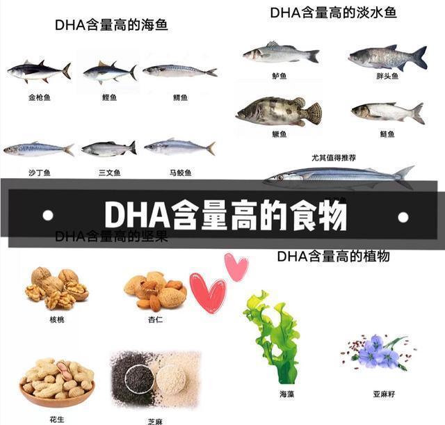 聪慧|研究表明：0-3岁是大脑发育黄金期，辅食营养到位，孩子更聪慧