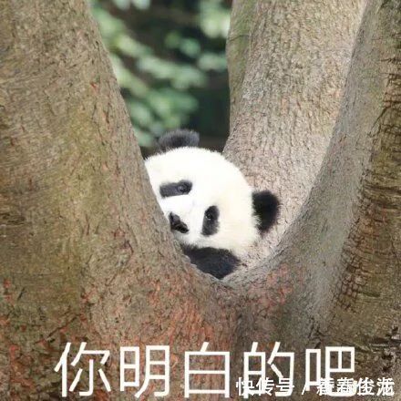 整天|5岁男孩整天“挤眉弄眼”,父母慌了医生家长这个举动害了他