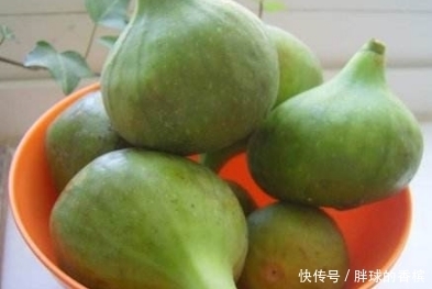 冬天每天坚持食用一个此水果,能健胃消食,润肠通便,治疗痔疮