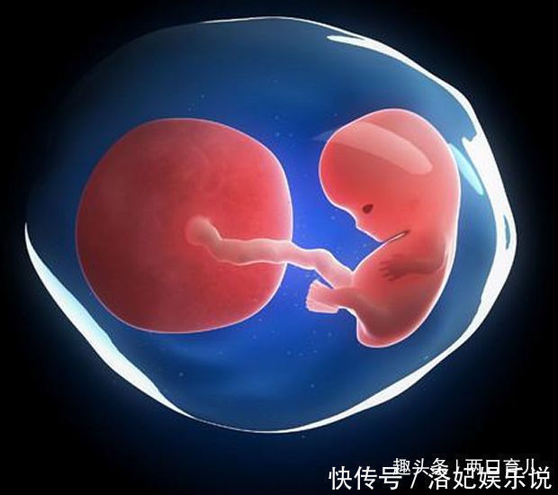 泡水|它被称为“天然黄体酮”,每天用它泡水喝,对女人的好处尤其多