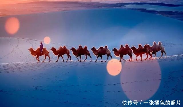 山中|席慕蓉|我曾踏月而来,只因你在山中