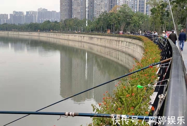 成都锦江上壮观的风景线:钓鱼竿一字排开!