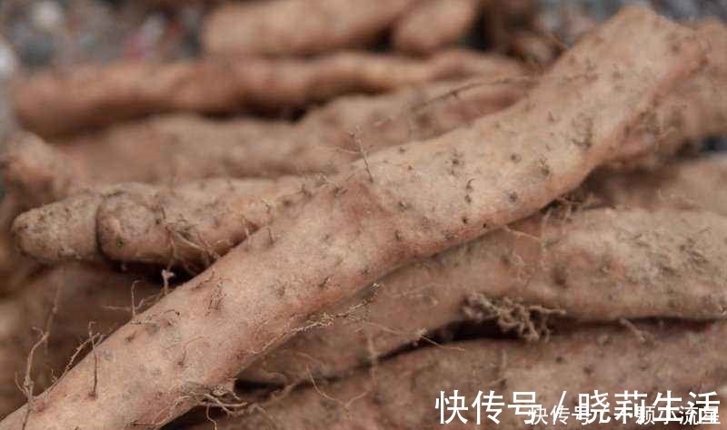 山药|十个人九个腰疼,此物煮来吃,腰不疼了,腿不酸了,早知早健康