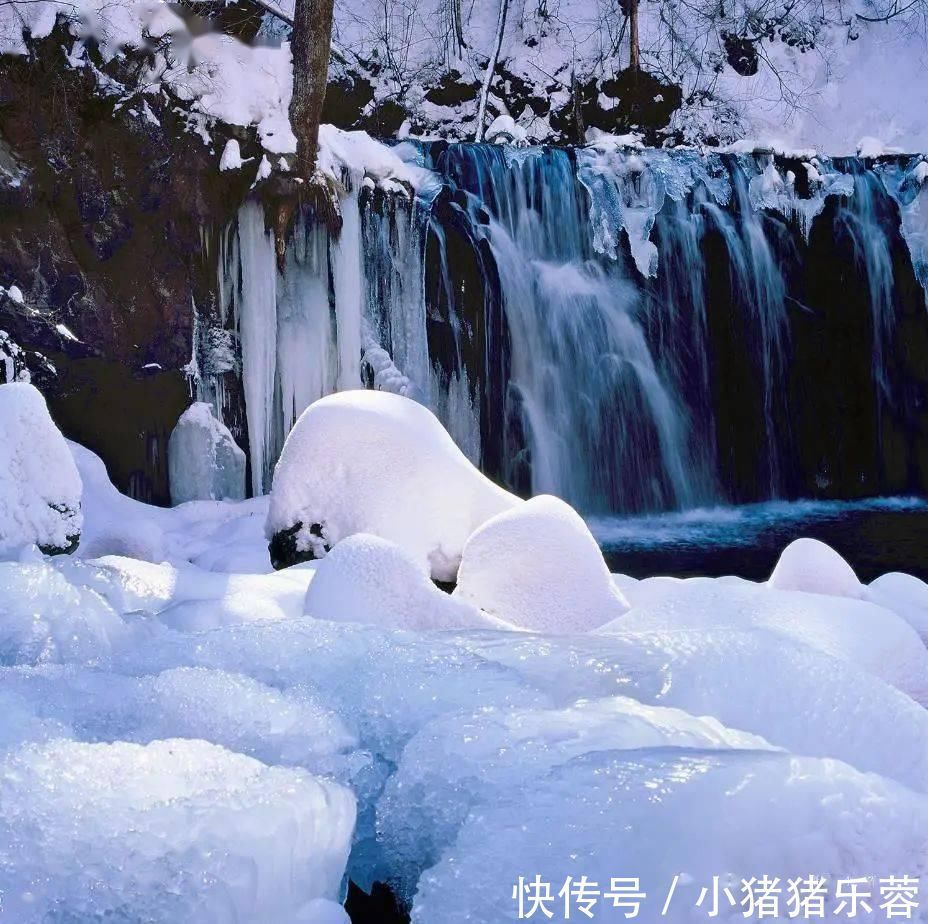 沉淀|入冬而不冻的奇观,来自“冰河”的叮咚优雅