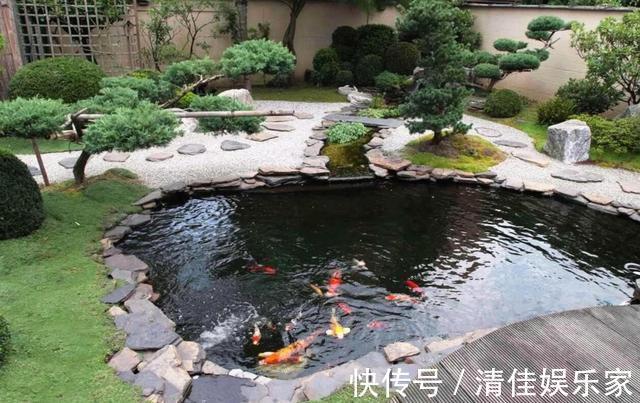 池塘|如果家里有个院子,就建个这样的鱼池吧,越住越富贵,真是太美了