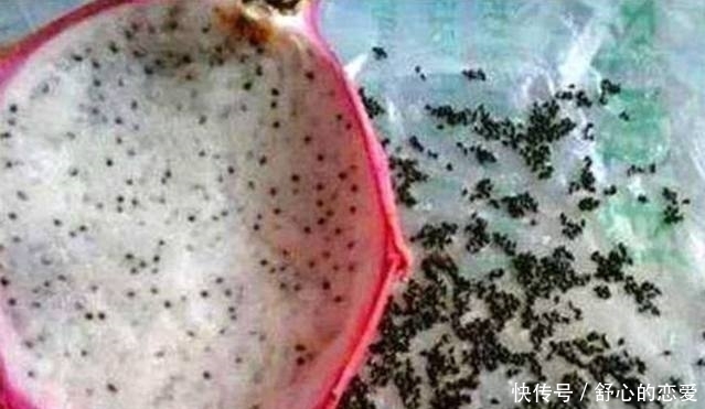 美女|水果新吃法:一个比一个厉害,不过我只服最后吃甘蔗的美女!