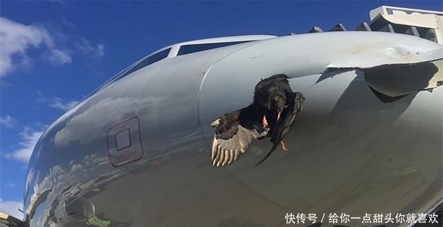 坠机|与坐飞机有关的十个“冷”知识!