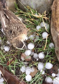 |搞笑趣图:为了给闺蜜拍个照,妹子也是够拼了
