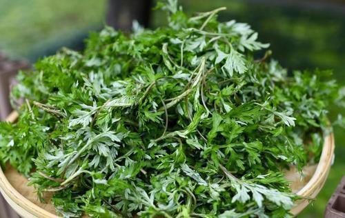 肌肤|对身体好的食物,推荐给大家,延缓肌肤衰老,消除肌肤皱纹