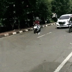 |自由让狗狗面目全非?柴犬别名日本哈士奇!搞笑它是认真的?