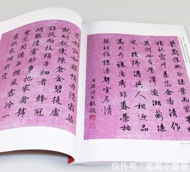 乾隆$他是乾隆皇帝的“秘书”,一手行书精妙入神,盛传200多年