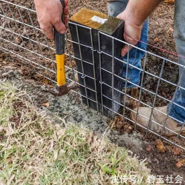 金属|羡慕邻居家后院,花坛不用砖垒,金属网包点石块堆堆,漂亮又独特