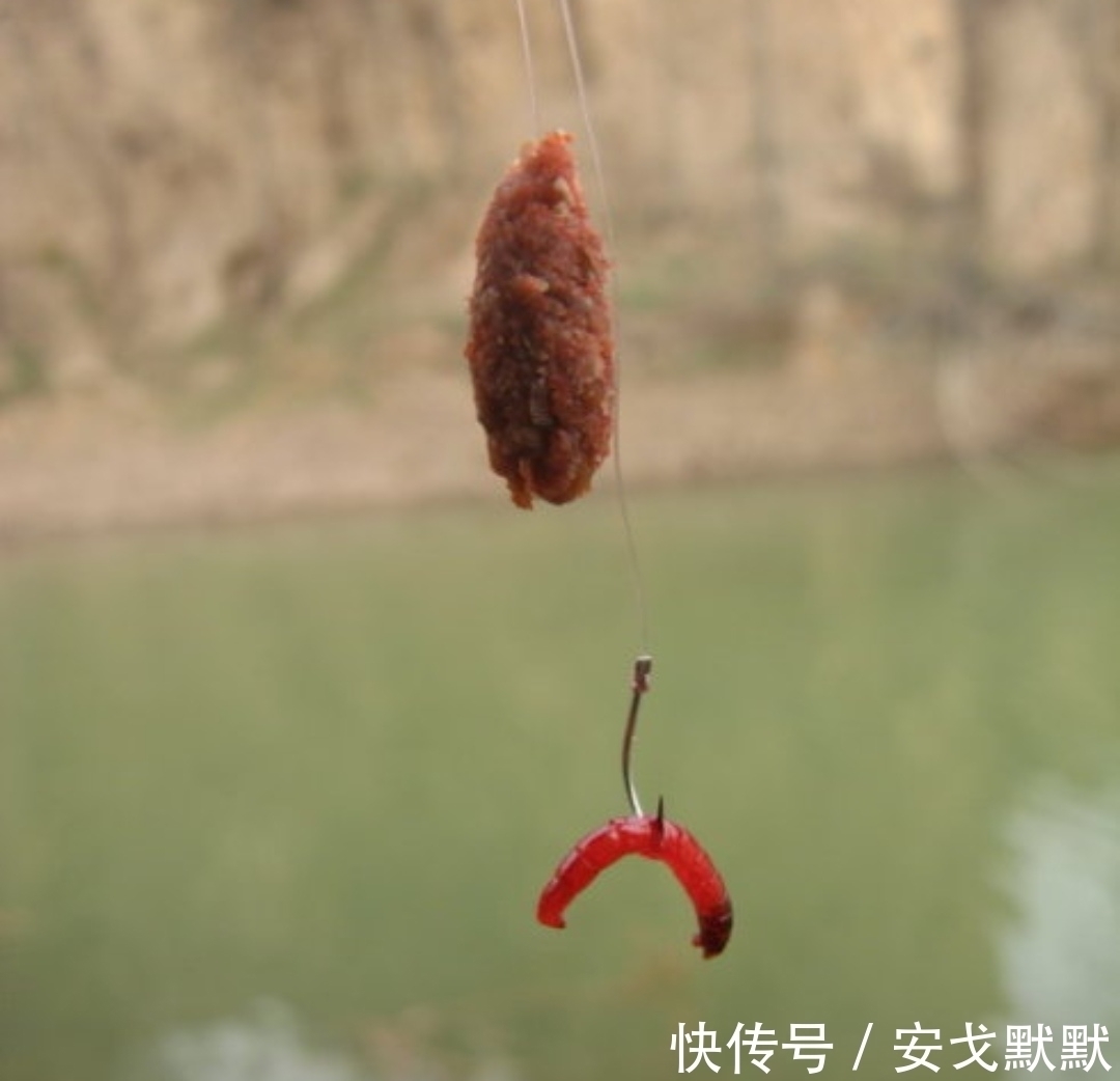 鱼口|我为啥钓不过他?不是技术、窝饵的问题,答案在于他的三个做法