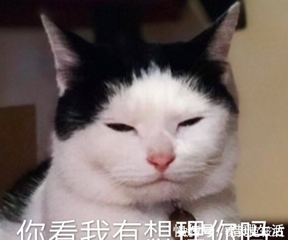 南瓜橘|男生对口红都有哪些误解?口红色号就是价格?999是皮炎平?