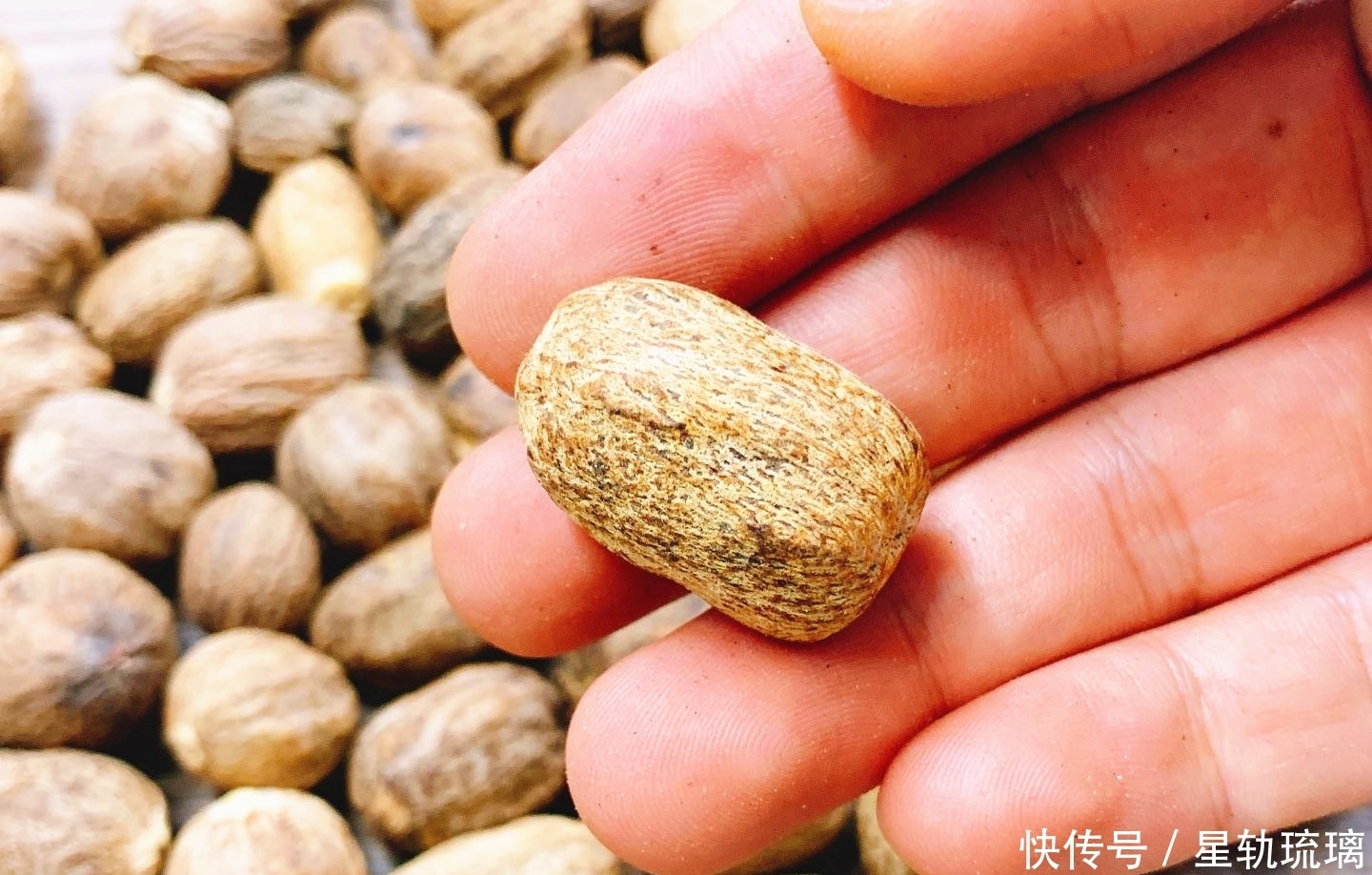 香料|无论是炖牛肉还是羊肉,多加2种香料,汤浓肉香,鲜美不膻不腥