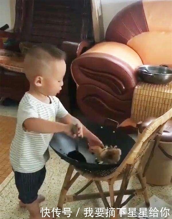 小明|3岁宝宝偷偷给妈妈做“小鸡炖蘑菇”,妈妈看到照片后乐坏了