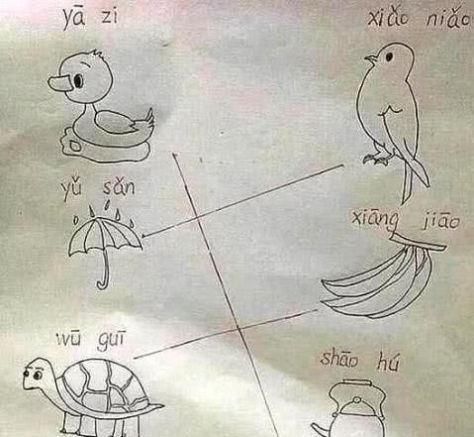 题目|小学一年级题全班不会，老师：回去问你爸