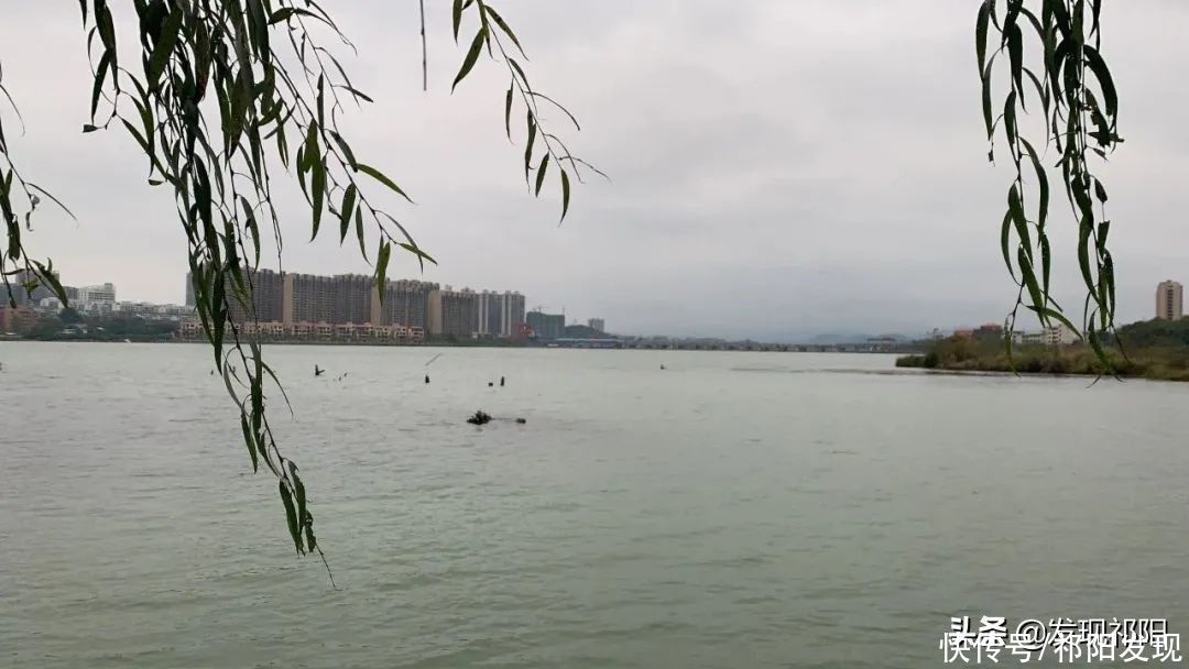 上海|祁阳的一片海，站在小江村看二桥