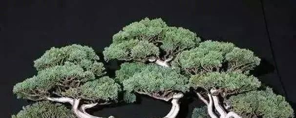 女子摔坏130万翡翠手镯,被店主要求索赔,最终却倒赚70万