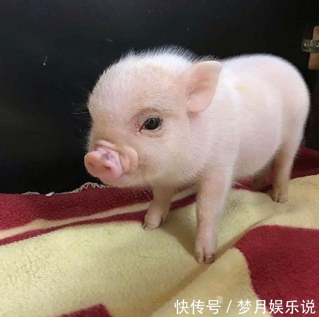 |十条笑话：你说男人真是神了，居然能让女人生出小孩来！