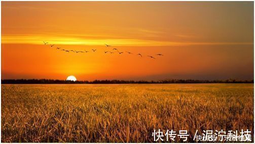 禅师@宋代高僧,一首28字禅诗,道破人生真谛,李嘉诚将其视为座右铭