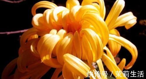 营养|聪明的人爱吃3种食物,补充营养、滋润身体,早吃早受益!