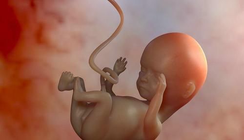 孕妈们|通过产检B超单的“肾盂分离”，可判断胎儿性别还真有一定道理