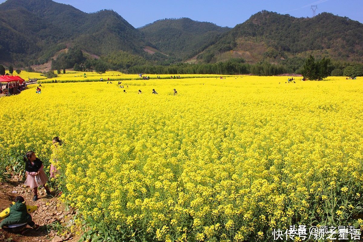 宁波第一免费赏梅地，梅开成海，春节打卡地