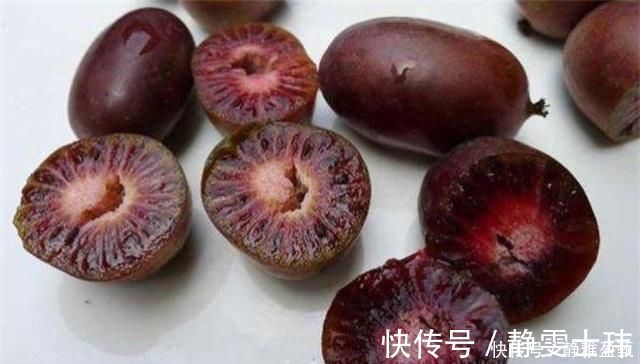 盆花|少养两盆花，院子也要种这种果树，沾土就活，甜味不输橙子