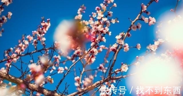 五绝|李商隐一首经典五绝《天涯》，无一字不唯美，无一字不伤悲