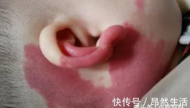 怀孕期间|胎儿自带“记号”,与孕妈错误行为有关,孕妈的放纵终由孩子买单